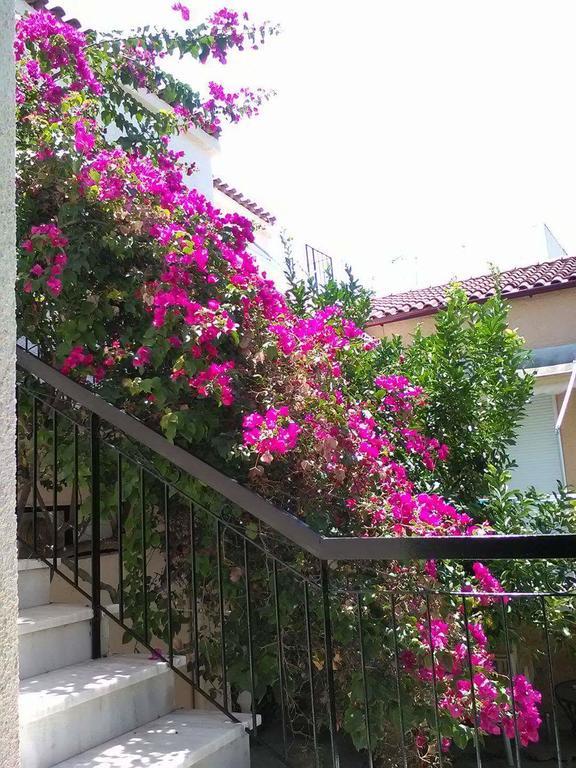 Aegina'S Flowers House Exterior photo