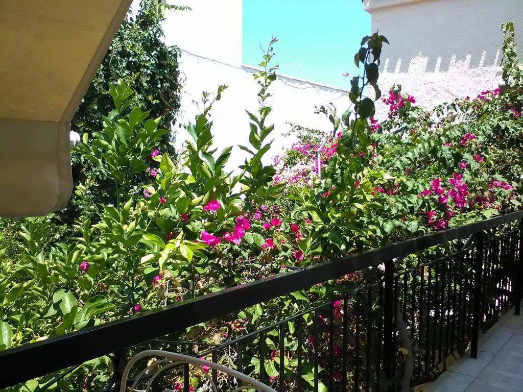 Aegina'S Flowers House Exterior photo
